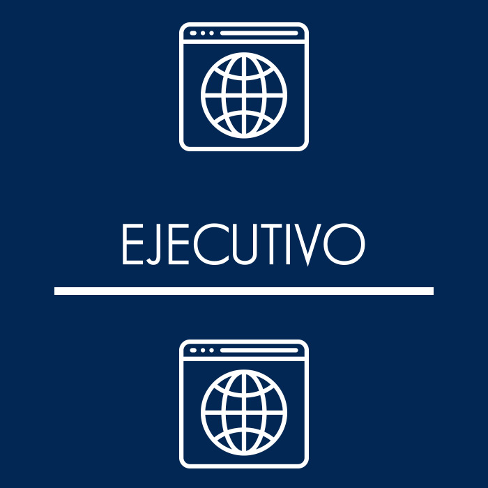 Web Ejecutivo